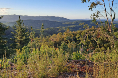 Imagen-de-WhatsApp-2025-09-09-a-las-12.26.52_47cbbda5