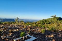 Imagen-de-WhatsApp-2025-09-09-a-las-12.26.52_4807c03f