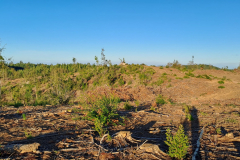 Imagen-de-WhatsApp-2025-09-09-a-las-12.26.52_4dedb77b