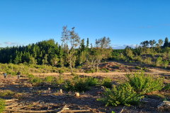 Imagen-de-WhatsApp-2025-09-09-a-las-12.26.52_501f2357