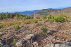 Imagen-de-WhatsApp-2025-09-09-a-las-12.26.52_728c2b7c