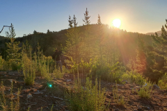 Imagen-de-WhatsApp-2025-09-09-a-las-12.26.52_9542feaf