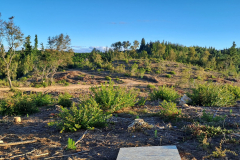 Imagen-de-WhatsApp-2025-09-09-a-las-12.26.52_9bba937c