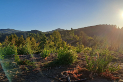 Imagen-de-WhatsApp-2025-09-09-a-las-12.26.52_afd703f4