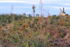 Imagen-de-WhatsApp-2025-09-09-a-las-12.26.52_b1d47d67