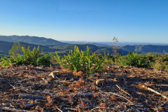 Imagen-de-WhatsApp-2025-09-09-a-las-12.26.52_e610de8a