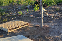 Imagen-de-WhatsApp-2025-09-09-a-las-12.26.52_f28b33c0