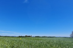 IMG-20220302-WA0049