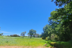 IMG-20220302-WA0050