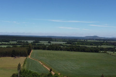 IMG-20220302-WA0051