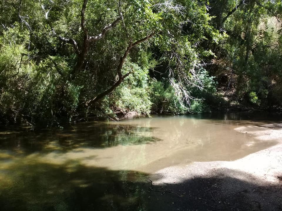Esteros de Nahuelbuta