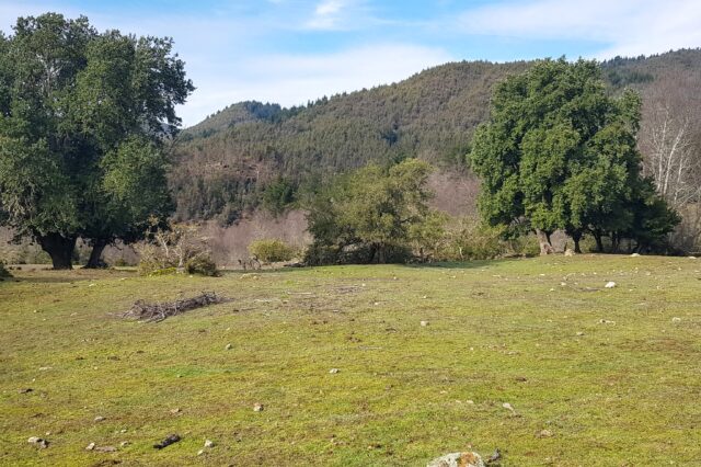 Refugio Dollinco