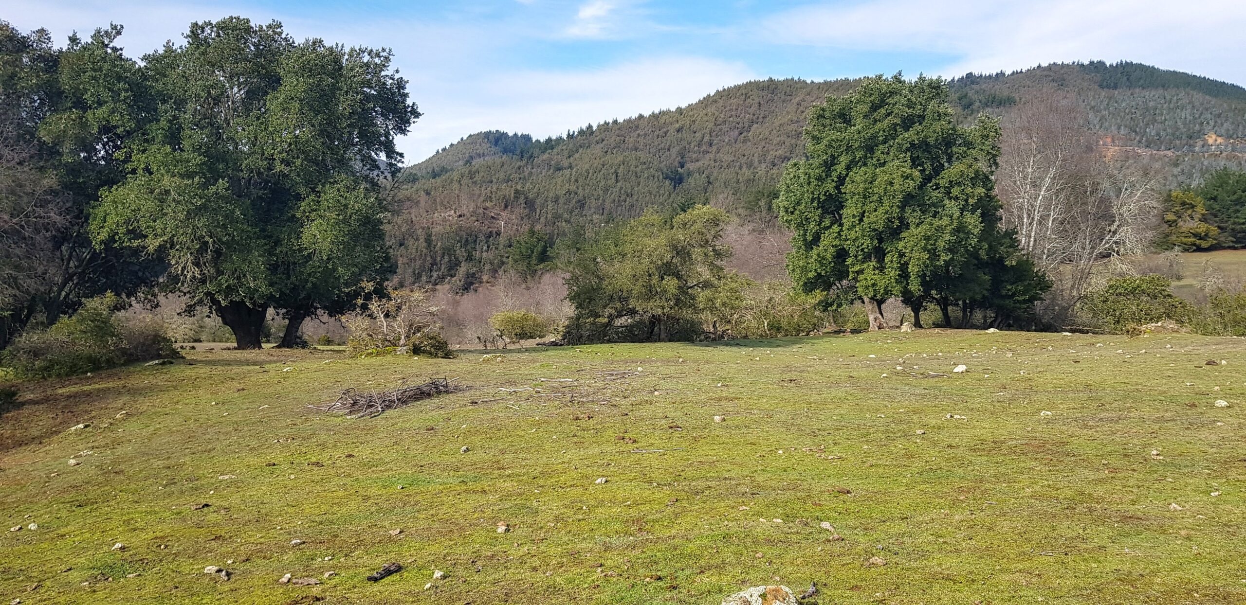 Refugio Dollinco